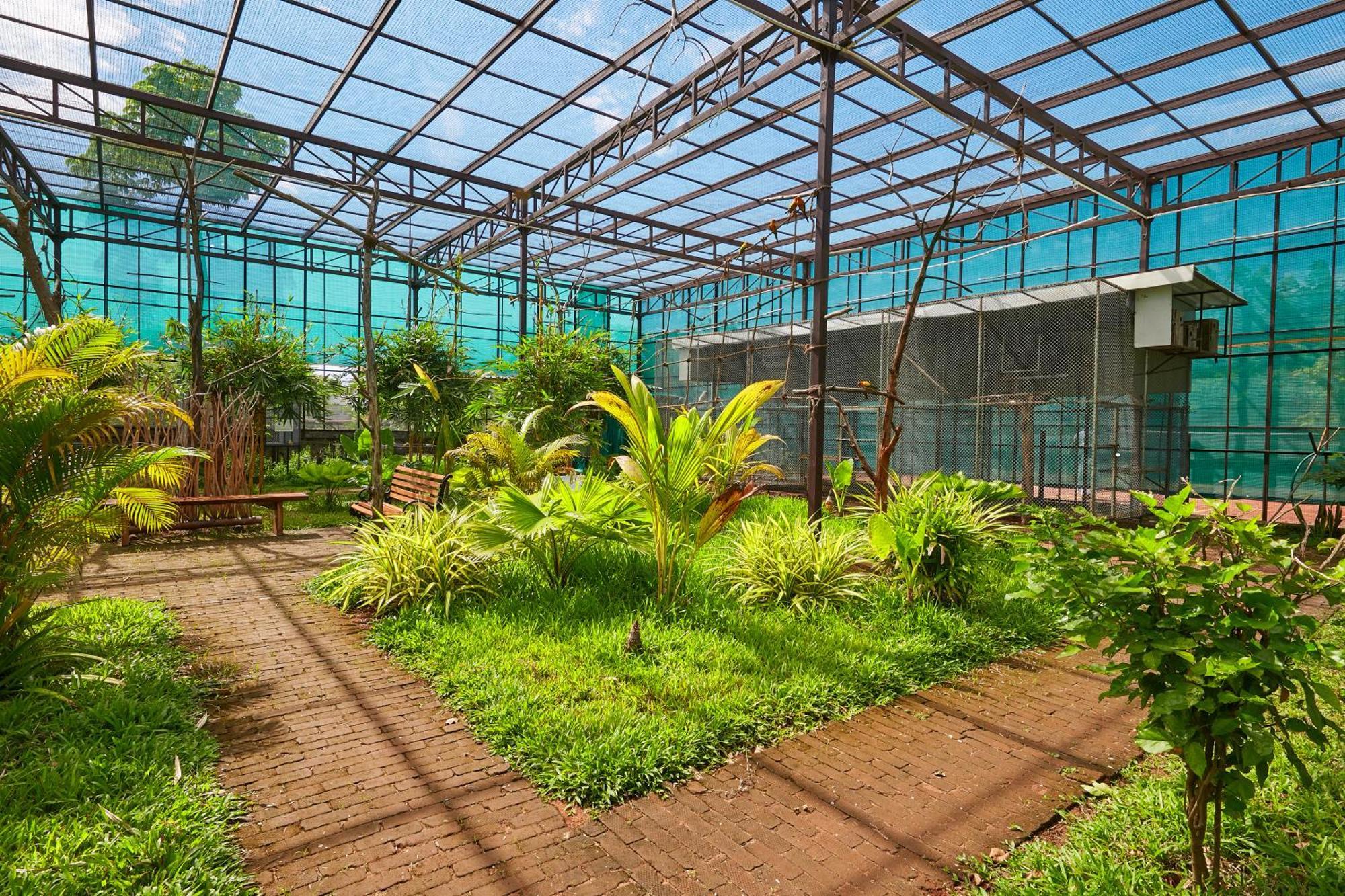 Bodhiwoods Resorts Mamallapuram Exterior foto